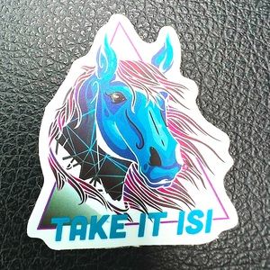 Take it Isi Easy Horse Pony Equestrian Cowboy Cowgirl 80s Aesthetic Deco Sticker